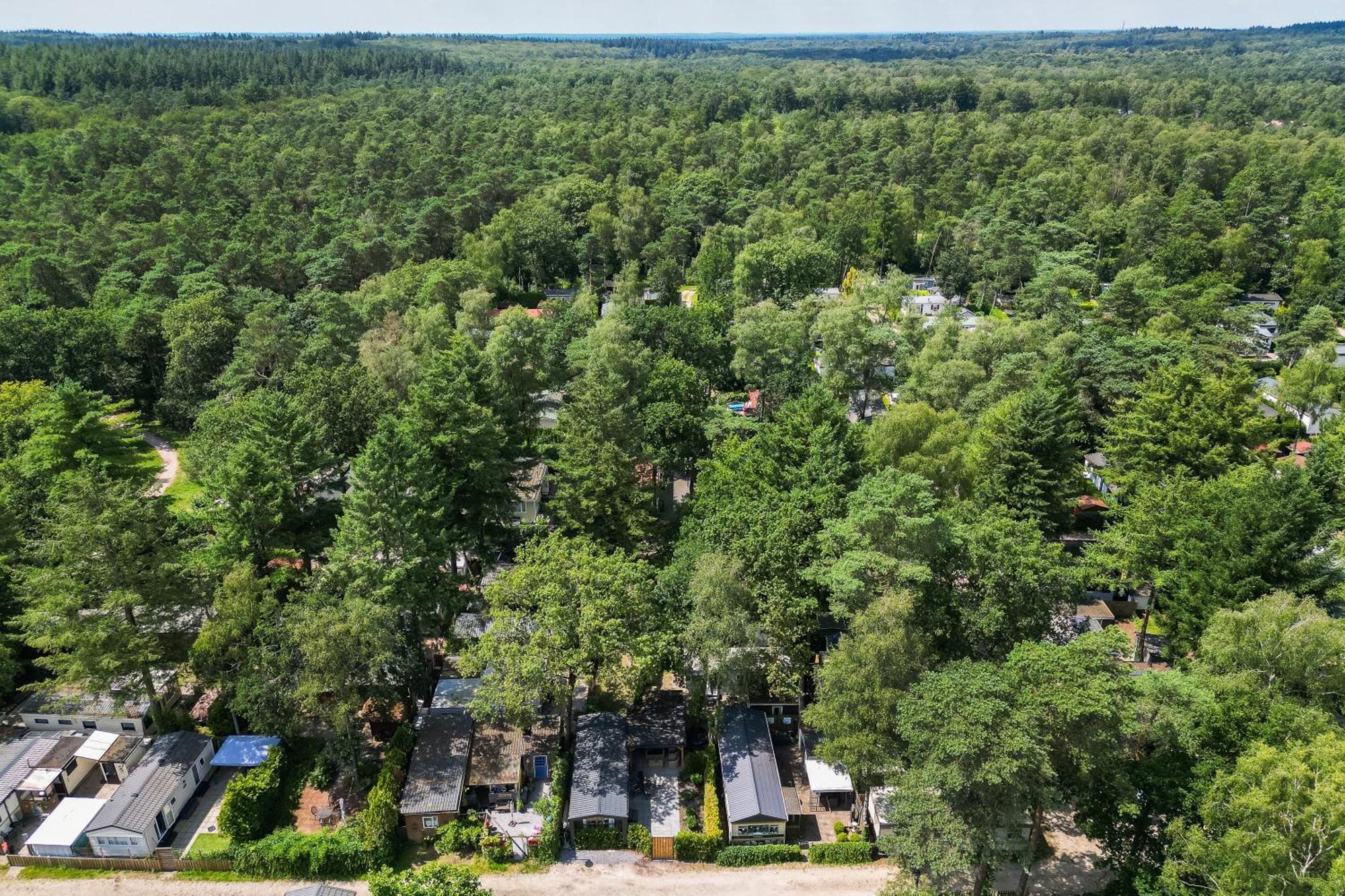 Veluwe Hoenderloo Luxury Chalet With Private Sauna And Hot Tub - Swimming Pool Tennis Court Supermarket Bowling Alley Theatre And Entertainment For Children Exterior foto