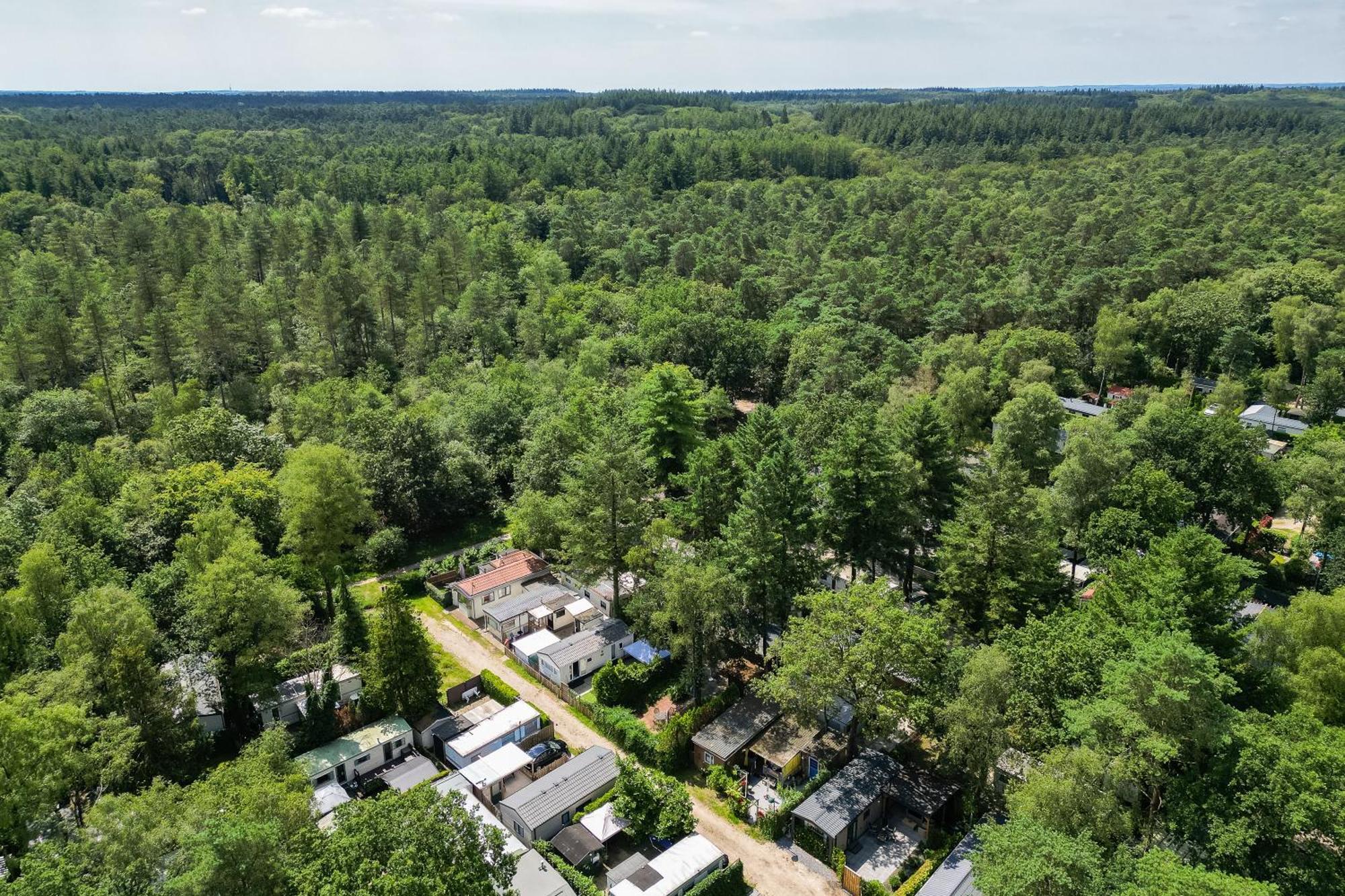 Veluwe Hoenderloo Luxury Chalet With Private Sauna And Hot Tub - Swimming Pool Tennis Court Supermarket Bowling Alley Theatre And Entertainment For Children Exterior foto